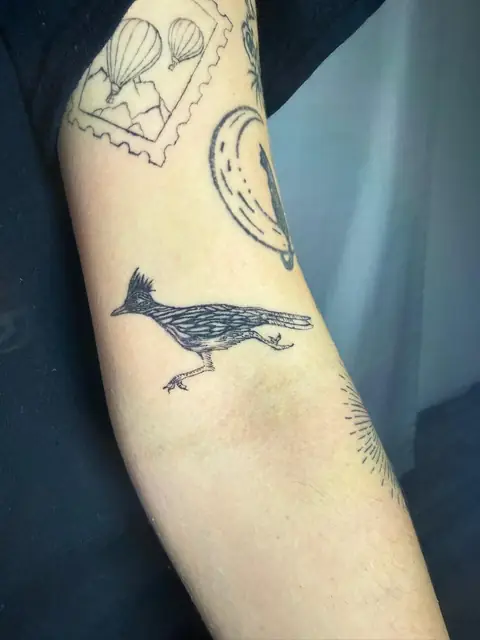 A roadrunner in fine line, mid-stride on the arm.